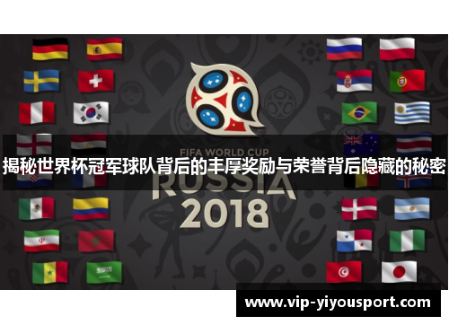 揭秘世界杯冠军球队背后的丰厚奖励与荣誉背后隐藏的秘密